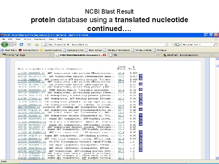 NCBI Blast Result protein database using a translated nucleotide continued…. 