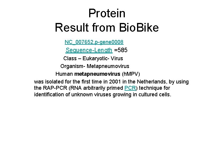 Protein Result from Bio. Bike NC_007652. p-gene 0008 Sequence-Length =585 Class – Eukaryotic- Virus