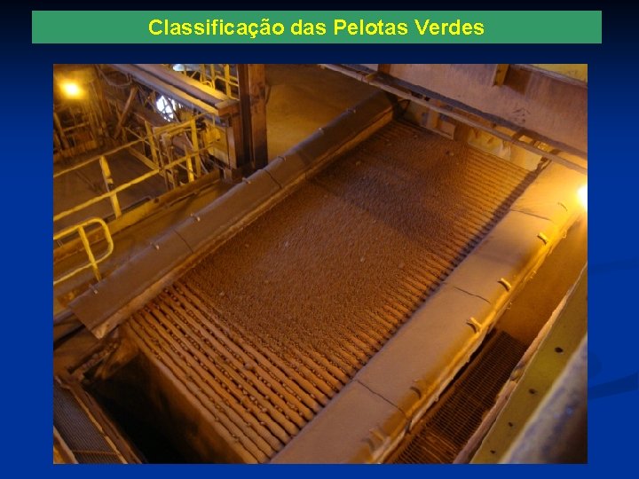 Classificação das Pelotas Verdes 