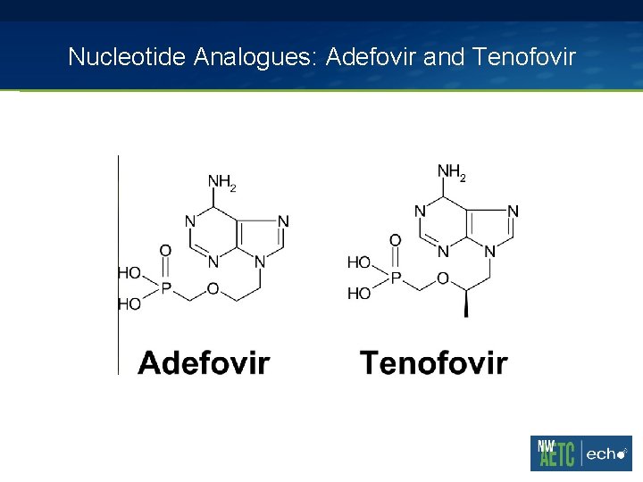 Nucleotide Analogues: Adefovir and Tenofovir 