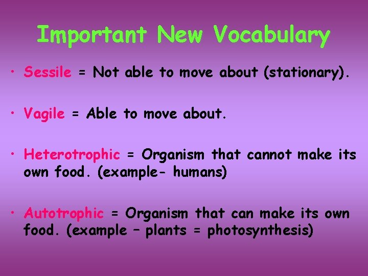 Important New Vocabulary • Sessile = Not able to move about (stationary). • Vagile