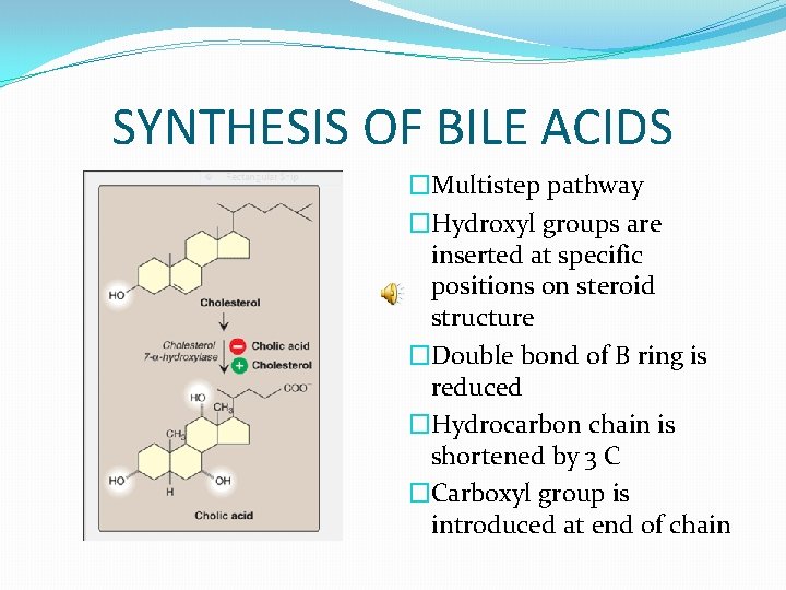 SYNTHESIS OF BILE ACIDS �Multistep pathway �Hydroxyl groups are inserted at specific positions on