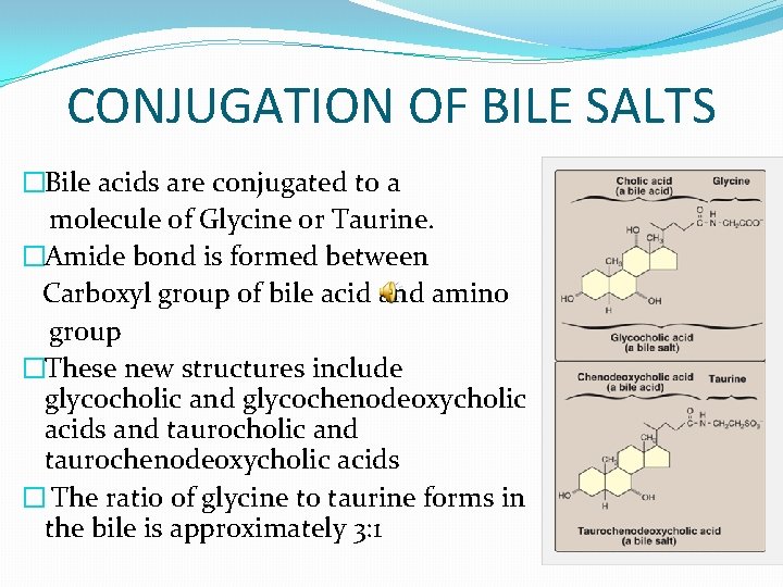CONJUGATION OF BILE SALTS �Bile acids are conjugated to a molecule of Glycine or