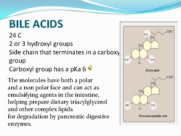 BILE ACIDS 24 C 2 or 3 hydroxyl groups Side chain that terminates in