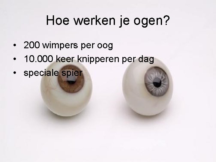 Hoe werken je ogen? • 200 wimpers per oog • 10. 000 keer knipperen Hoe werken je ogen? • 200 wimpers per oog • 10. 000 keer knipperen