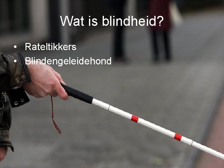 Wat is blindheid? • Rateltikkers • Blindengeleidehond Wat is blindheid? • Rateltikkers • Blindengeleidehond