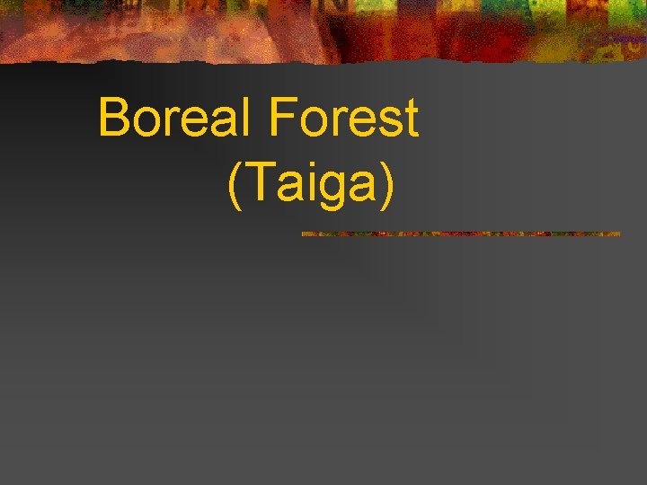 Boreal Forest (Taiga) 