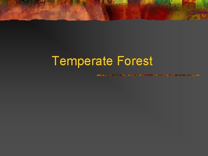 Temperate Forest 