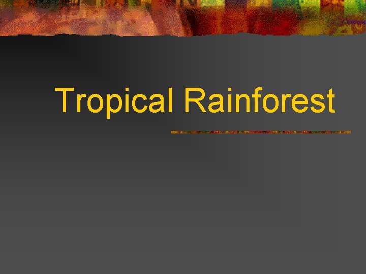 Tropical Rainforest 