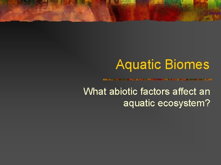 Aquatic Biomes What abiotic factors affect an aquatic ecosystem? 