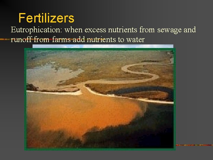 Fertilizers Eutrophication: when excess nutrients from sewage and runoff from farms add nutrients to