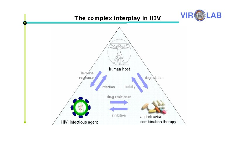 The complex interplay in HIV 