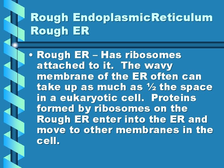 Rough Endoplasmic. Reticulum Rough ER • Rough ER – Has ribosomes attached to it.