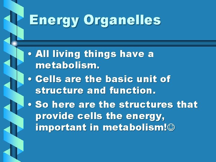 Energy Organelles • All living things have a metabolism. • Cells are the basic