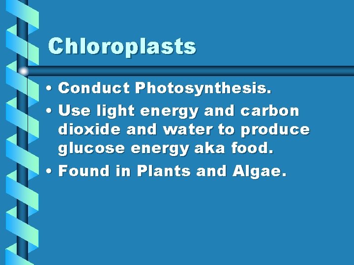 Chloroplasts • Conduct Photosynthesis. • Use light energy and carbon dioxide and water to
