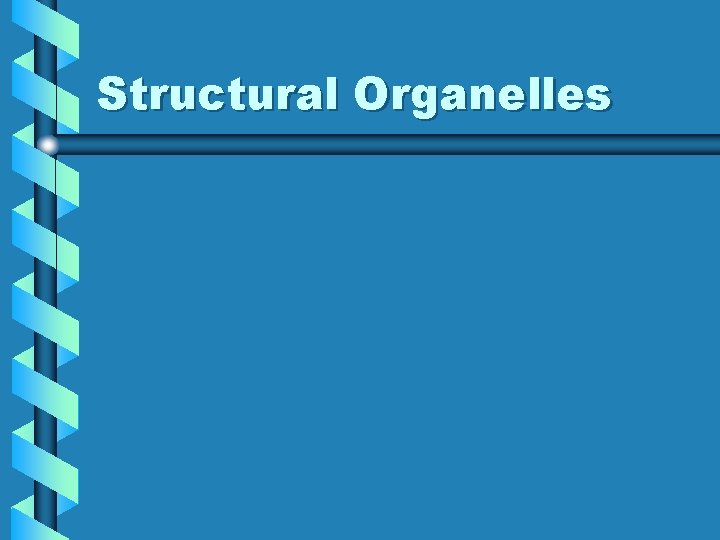 Structural Organelles 