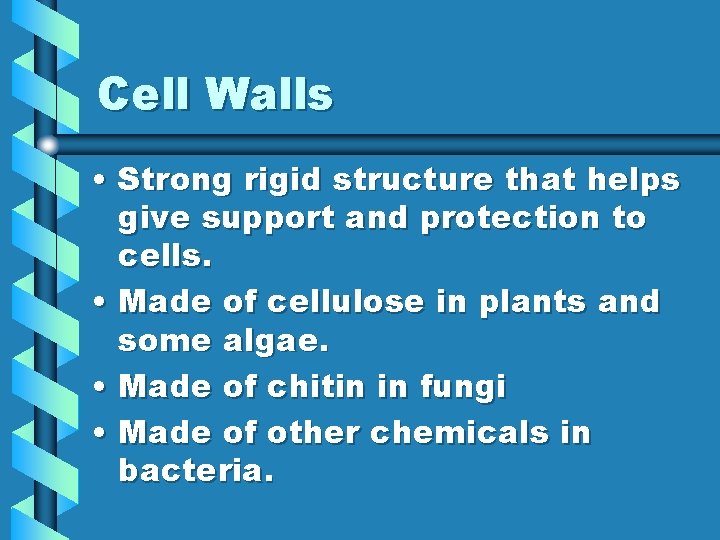 Cell Walls • Strong rigid structure that helps give support and protection to cells.