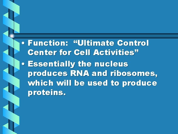  • Function: “Ultimate Control Center for Cell Activities” • Essentially the nucleus produces