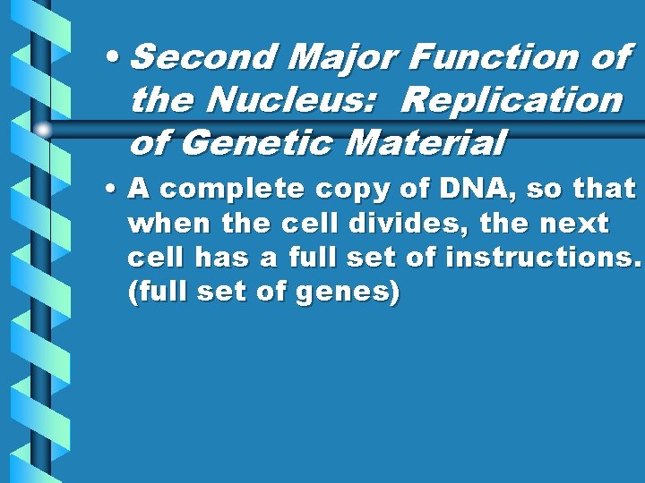  • Second Major Function of the Nucleus: Replication of Genetic Material • A
