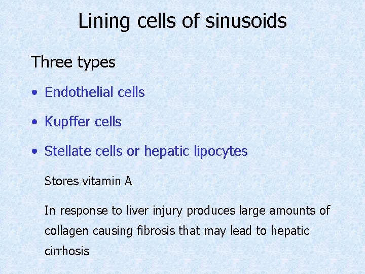 Lining cells of sinusoids Three types • Endothelial cells • Kupffer cells • Stellate