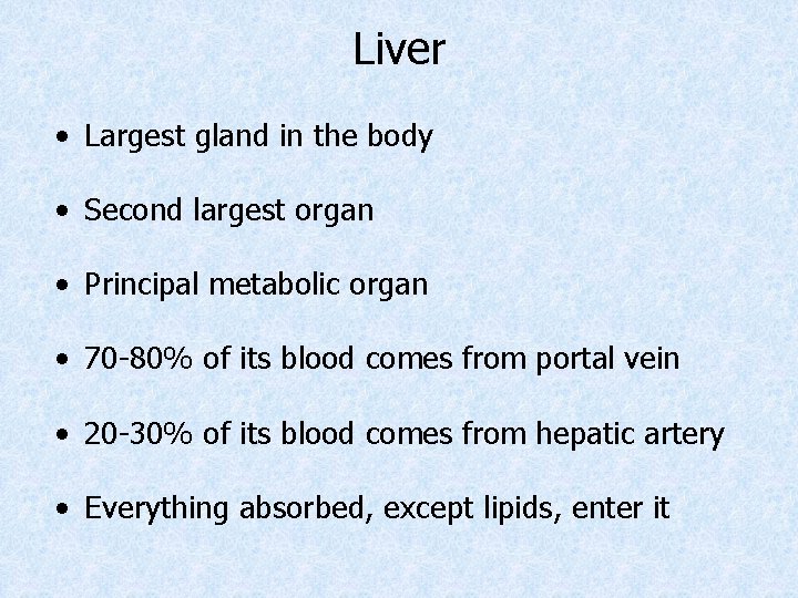 Liver • Largest gland in the body • Second largest organ • Principal metabolic