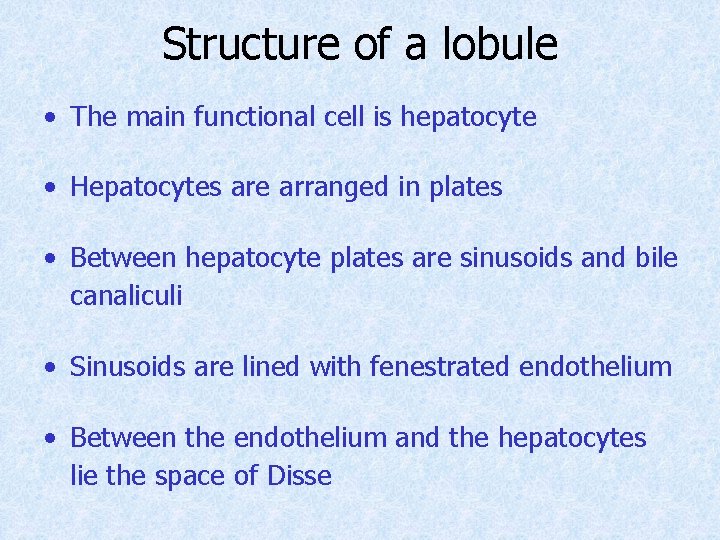 Structure of a lobule • The main functional cell is hepatocyte • Hepatocytes are Structure of a lobule • The main functional cell is hepatocyte • Hepatocytes are