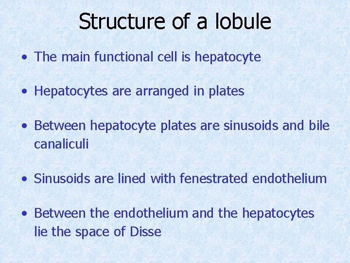 Structure of a lobule • The main functional cell is hepatocyte • Hepatocytes are