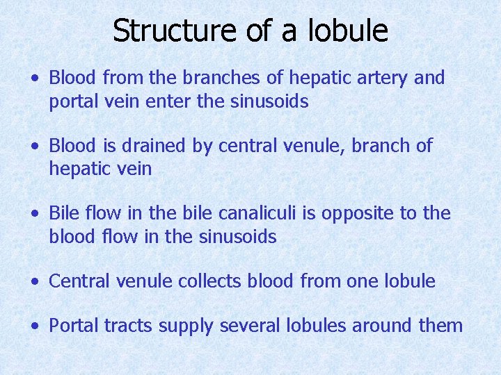 Structure of a lobule • Blood from the branches of hepatic artery and portal