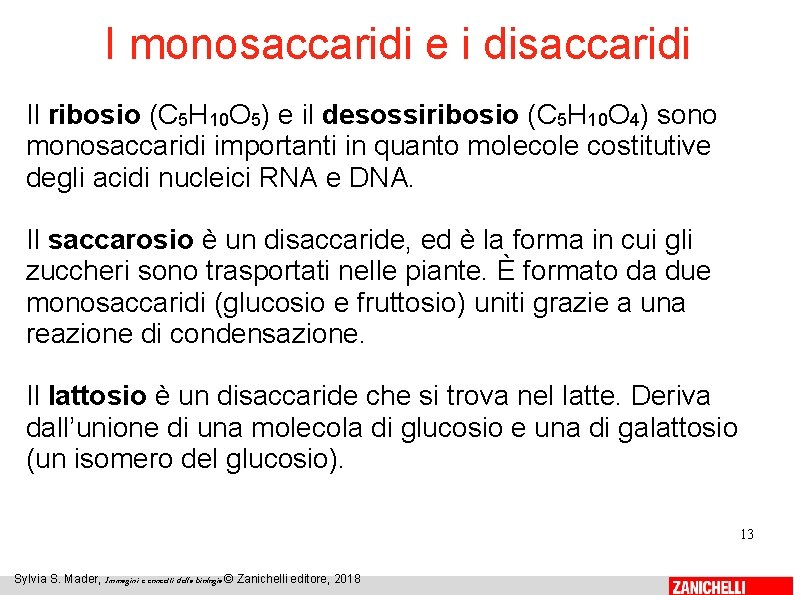 I monosaccaridi e i disaccaridi Il ribosio (C 5 H 10 O 5) e