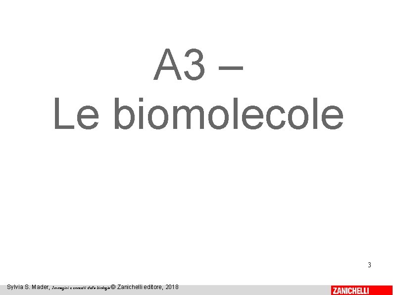 A 3 – Le biomolecole 3 Sylvia S. Mader, Immagini e concetti della biologia