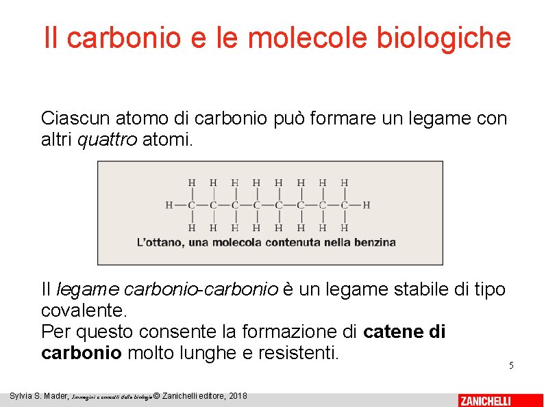 Il carbonio e le molecole biologiche Ciascun atomo di carbonio può formare un legame