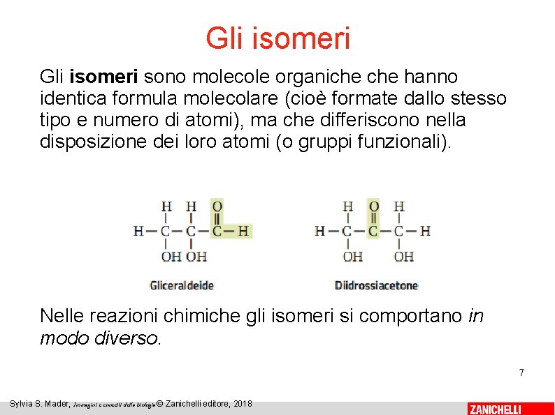 Gli isomeri sono molecole organiche hanno identica formula molecolare (cioè formate dallo stesso tipo