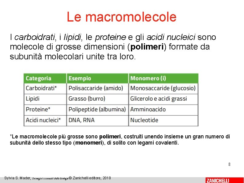 Le macromolecole I carboidrati, i lipidi, le proteine e gli acidi nucleici sono molecole