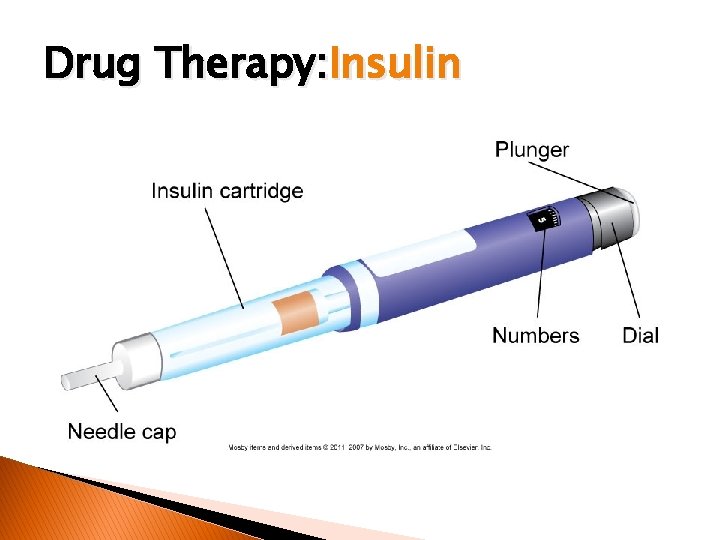 Drug Therapy: Insulin 
