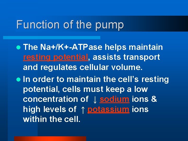 Function of the pump l The Na+/K+-ATPase helps maintain resting potential, assists transport and