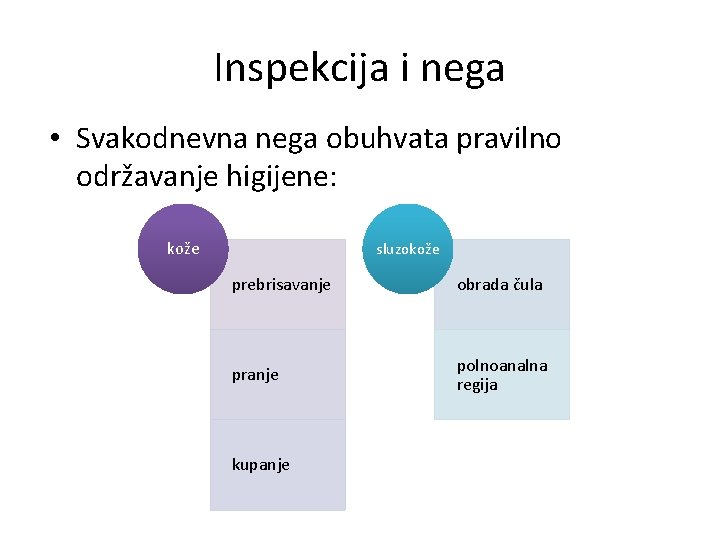 Inspekcija i nega • Svakodnevna nega obuhvata pravilno održavanje higijene: kože sluzokože prebrisavanje obrada