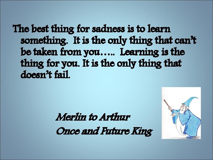 The best thing for sadness is to learn something. It is the only thing