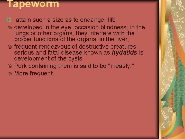 Tapeworm attain such a size as to endanger life developed in the eye, occasion