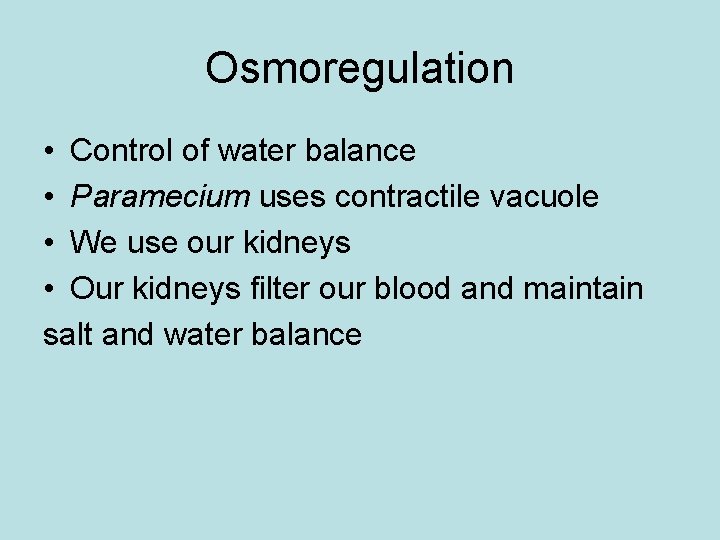 Osmoregulation • Control of water balance • Paramecium uses contractile vacuole • We use