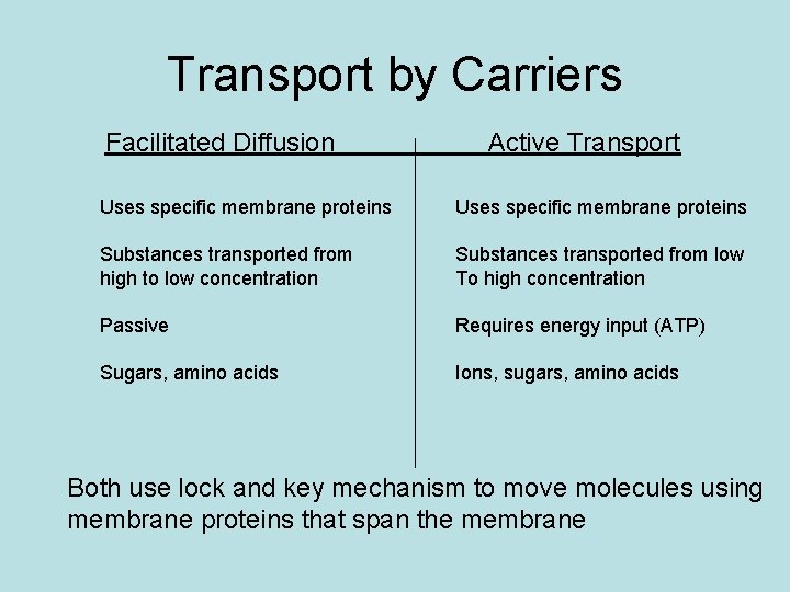 Transport by Carriers Facilitated Diffusion Active Transport Uses specific membrane proteins Substances transported from