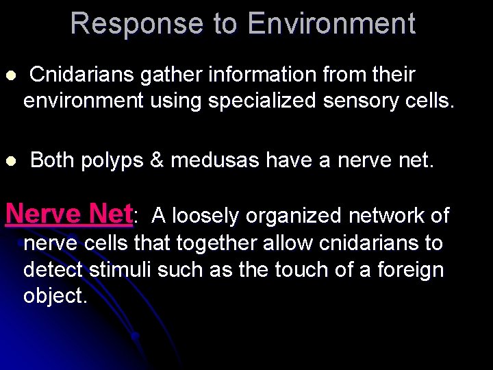 Response to Environment l l Cnidarians gather information from their environment using specialized sensory