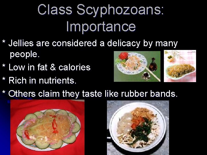 Class Scyphozoans: Importance * Jellies are considered a delicacy by many people. * Low
