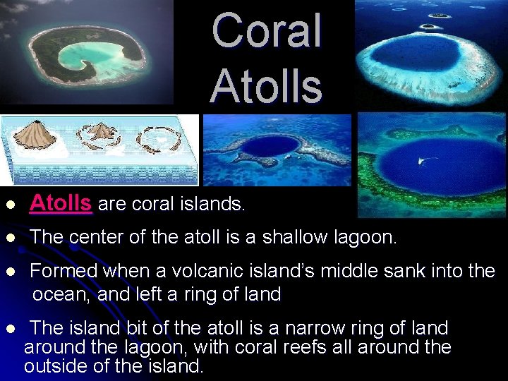 Coral Atolls are coral islands. l The center of the atoll is a shallow