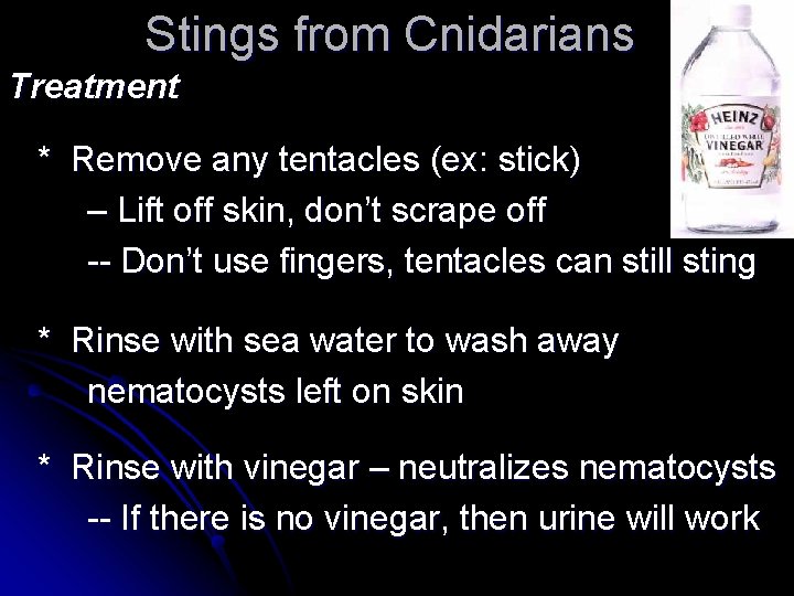 Stings from Cnidarians Treatment * Remove any tentacles (ex: stick) – Lift off skin,