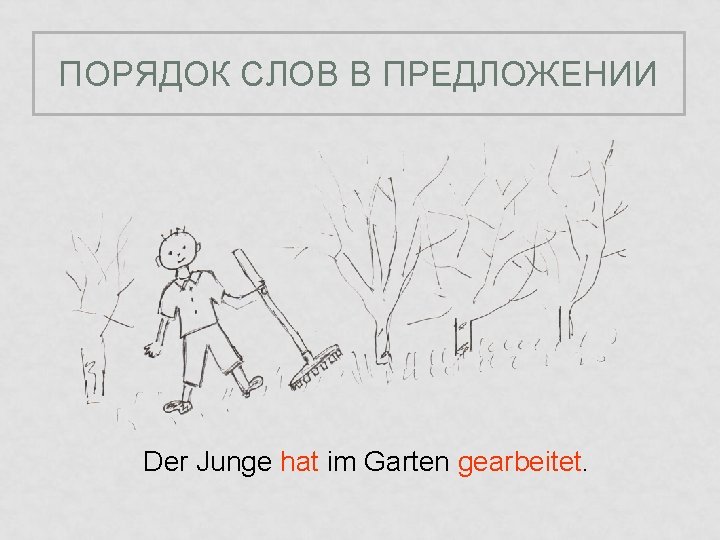 ПОРЯДОК СЛОВ В ПРЕДЛОЖЕНИИ Der Junge hat im Garten gearbeitet. 