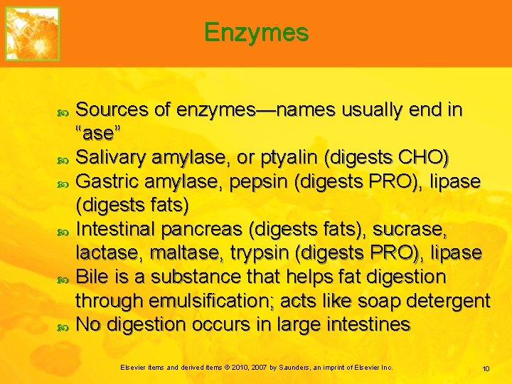 Chapter 4 Digestion Absorption and Metabolism in Health