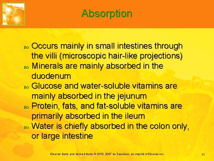 Absorption Occurs mainly in small intestines through the villi (microscopic hair-like projections) Minerals are