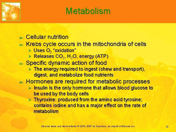 Metabolism Cellular nutrition Krebs cycle occurs in the mitochondria of cells Ø Ø Specific