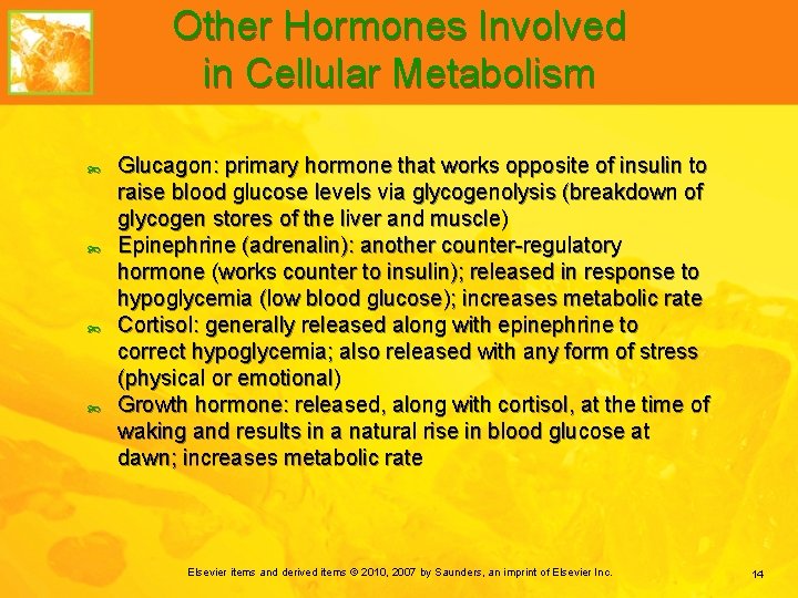 Other Hormones Involved in Cellular Metabolism Glucagon: primary hormone that works opposite of insulin