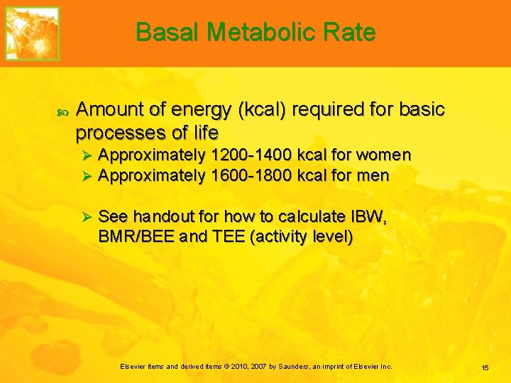 Basal Metabolic Rate Amount of energy (kcal) required for basic processes of life Ø